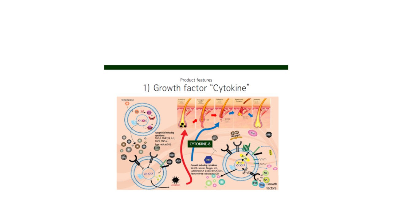 韓國- 幹细胞毛囊细胞生長因子 CYTOKINE-8